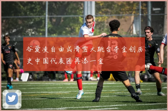 谷爱凌自由式滑雪大跳台夺金创历史中国代表团再添一金